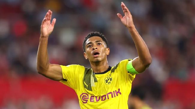 高清蓝光在线观看