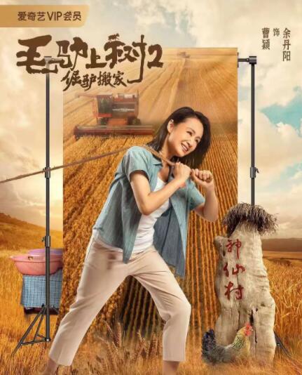 蓝光原盘在线观看