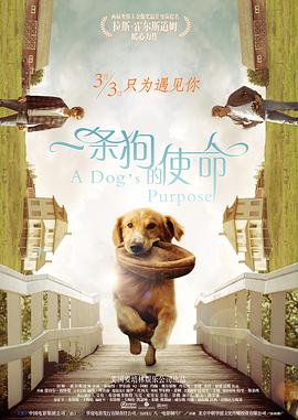 超清HD高清在线观看