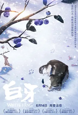 1080P手机在线看