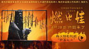 手机免费播放